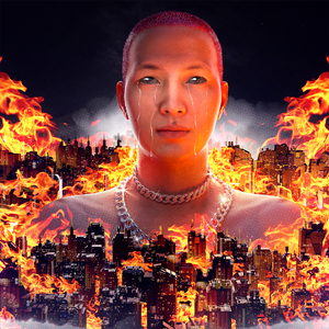 企业图像小鸡导航
