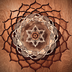 企业图像小鸡导航
