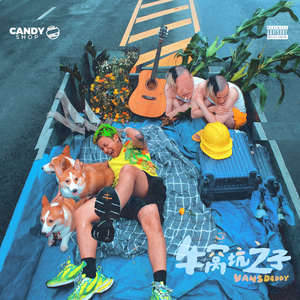 企业图像小鸡导航
