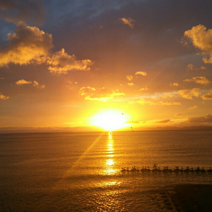 企业图像小鸡导航
