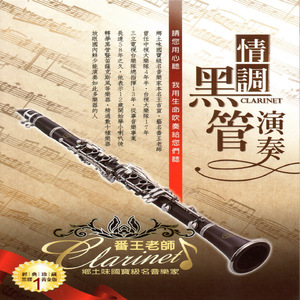 企业图像小鸡导航
